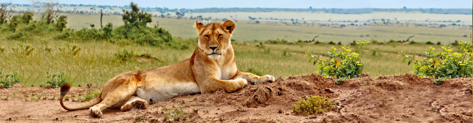 Kenya Classic Safari